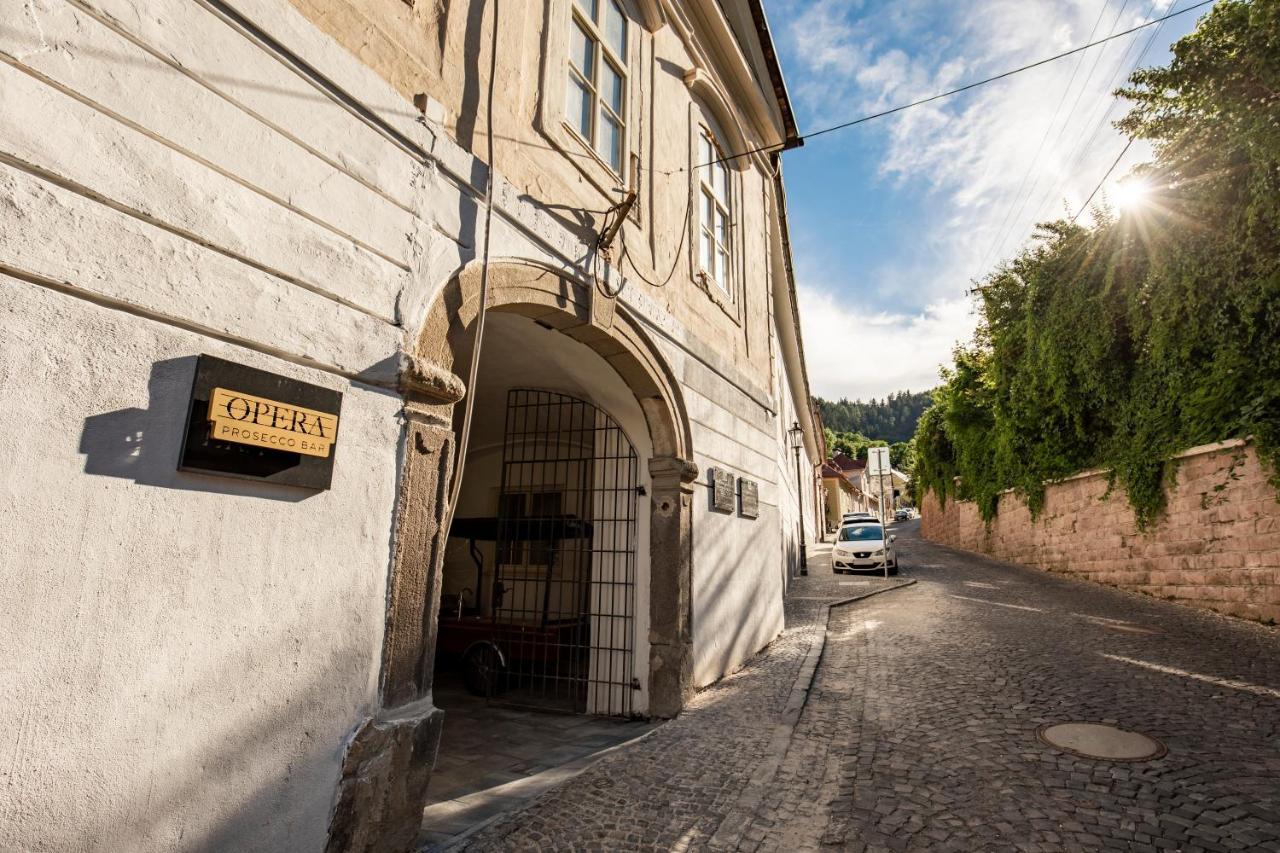 Apartman Blue Moon Banská Štiavnica エクステリア 写真